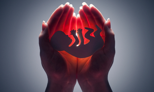 چه عواملی باعث سقط جنین می شود؟