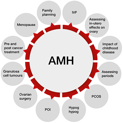  بارداری با amh پایین